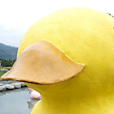 依比鴨鴨水岸會館 Ducking House Bed & Breakfast Ruisui Luaran gambar