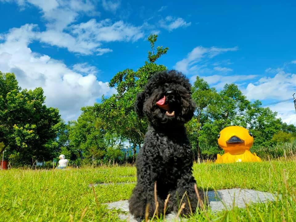 依比鴨鴨水岸會館 Ducking House Bed & Breakfast Ruisui Luaran gambar