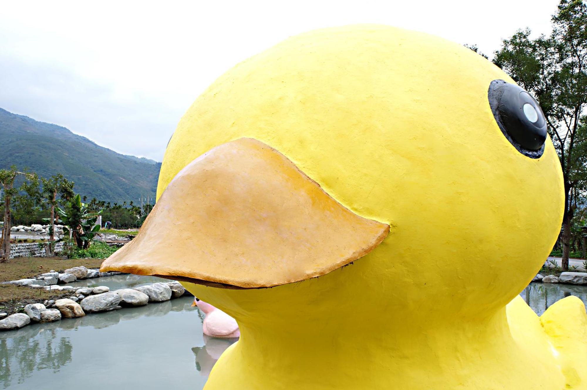 依比鴨鴨水岸會館 Ducking House Bed & Breakfast Ruisui Luaran gambar